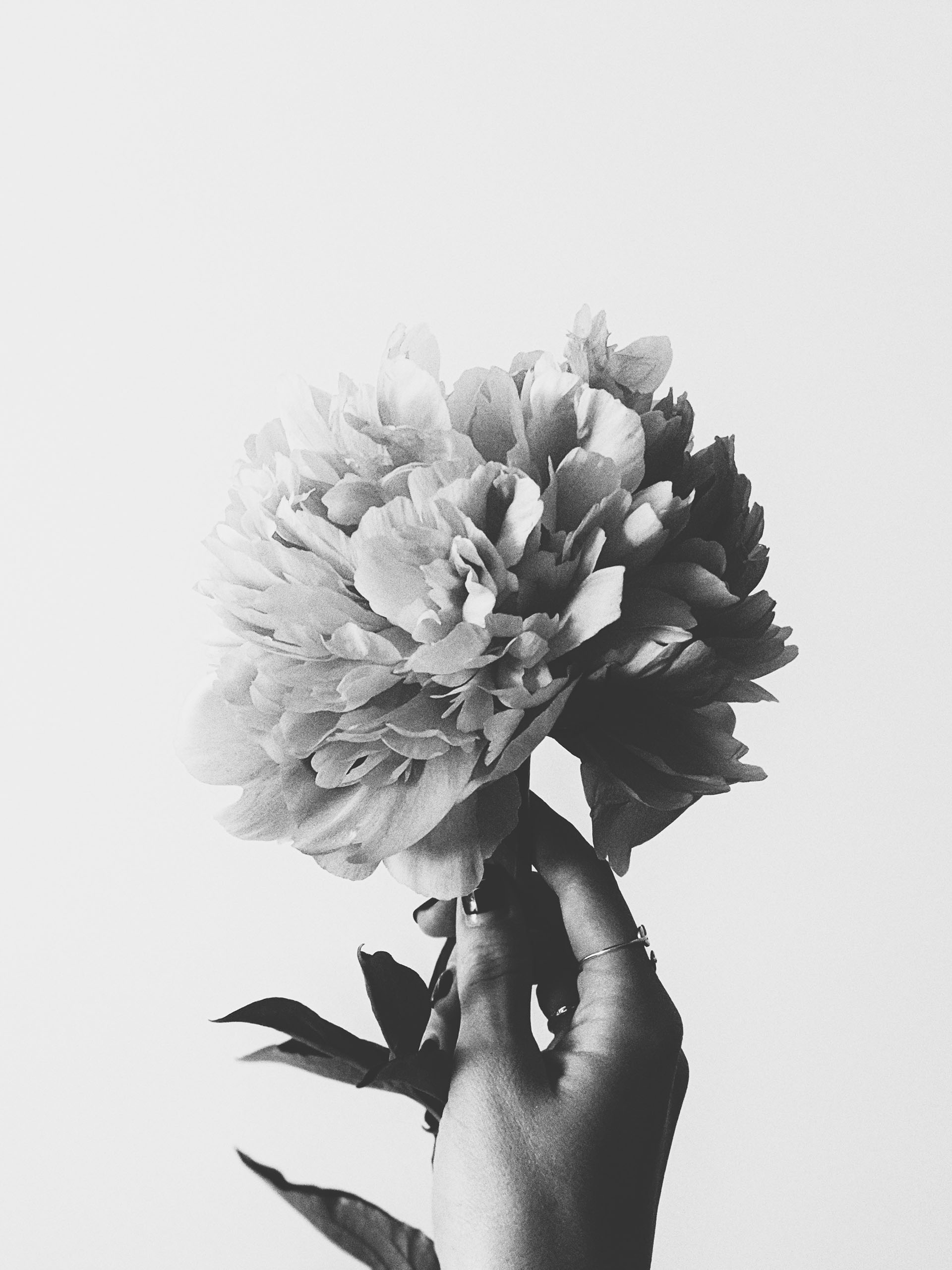 Hand mit Blumenstrauß